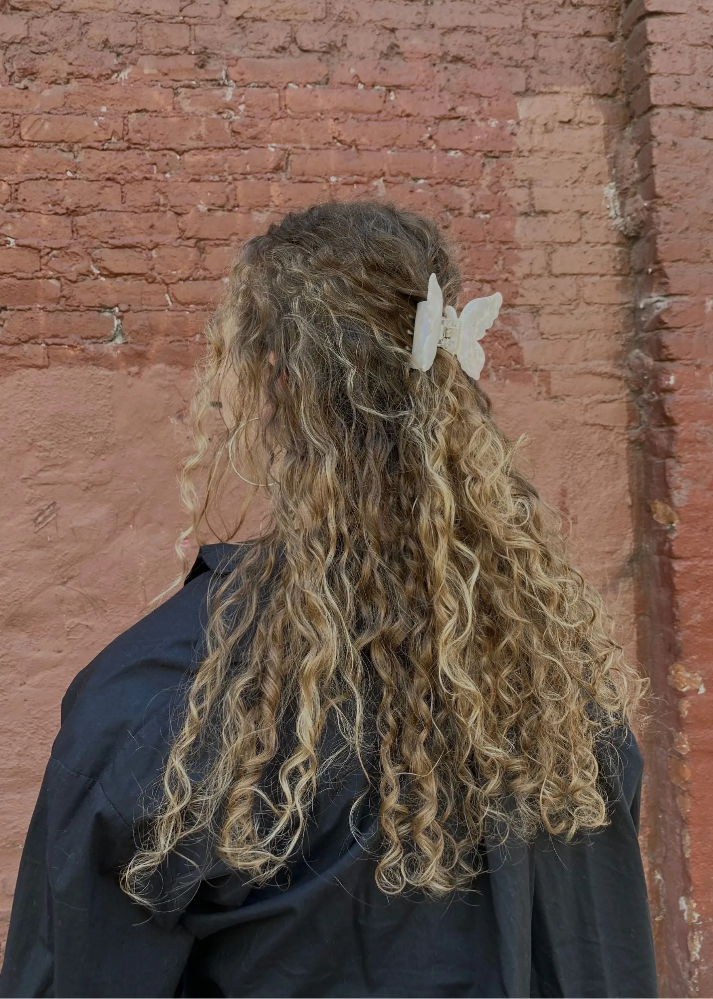 Aimee Butterfly Clip