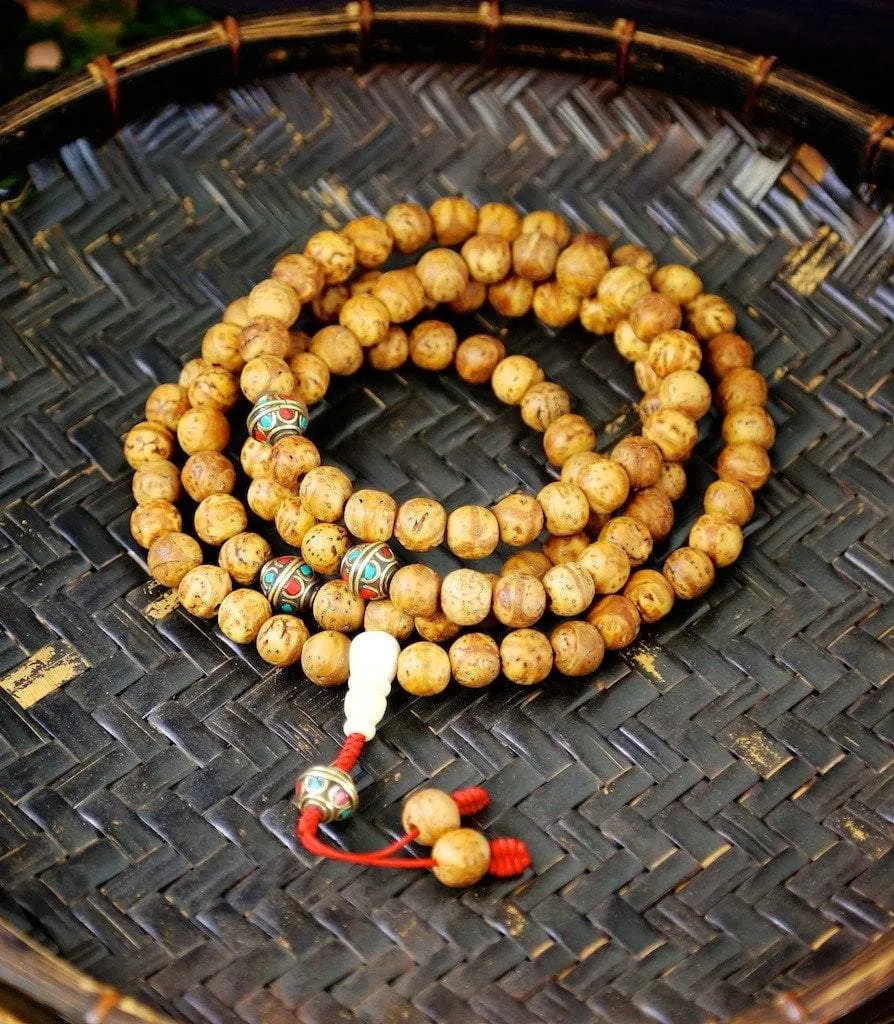 Amazing New Phoenix Eye Bodhi Seed Mala