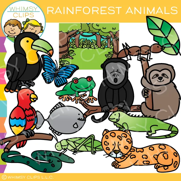 Colorful Rainforest Animals Clip Art