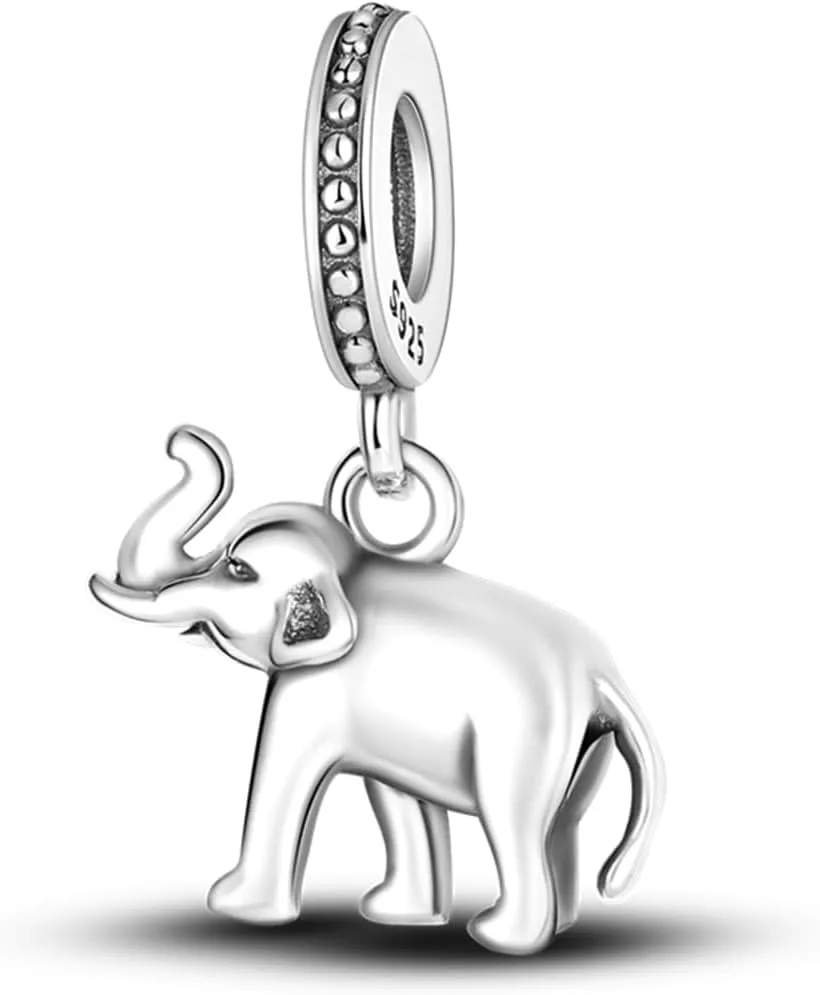 HONGRUI 925 Sterling Silver Charm for Women Bracelets and Necklace Fashion Bead Charms Clearance for Mother Daughter Sisters Friends Jewelry Gift