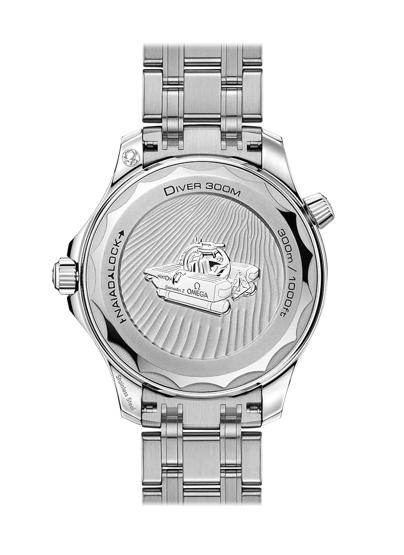 Omega Seamaster Diver 300M Co‑Axial Master Chronometer 42mm Nekton Edition Steel on Steel 210.30.42.20.01.002