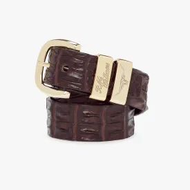 R.M.Williams - 1 1/2 Inch Crocodile Belt - High Polish Brass Buckle - Chestnut