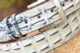 Saltwater Crocodile Belt: White Water