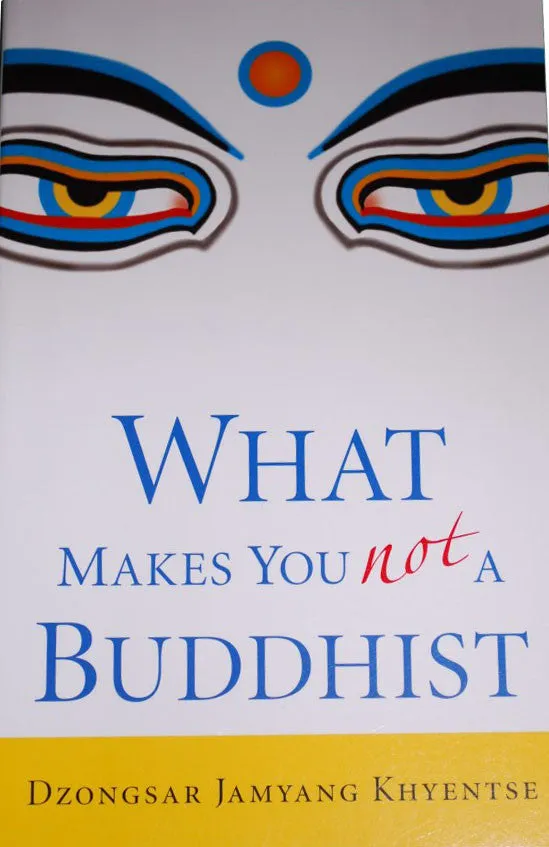 What Makes You not A Buddhist